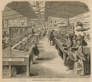 サウスケンジントン博物館、食品博物館および動物製品 作： English School