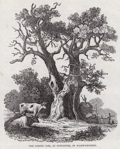 The Gospel Oak, Stonleigh, Warwickshire (Englanding) 作： English School
