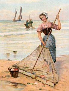 海の収穫 作： English School