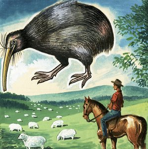 キウイ、ニュージーランドの紋章 作： English School