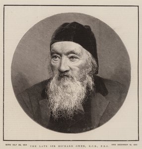 The Late Sir Richard Owen, KCB, FRS (Engraving) 作： English School