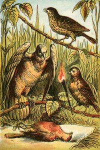 リネット、鳩、そしてコックロビン 作： English School