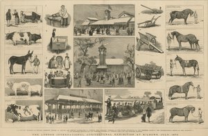 1879年7月、キルバーンでロンドン国際農業展覧会
