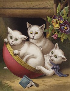 陽気な子猫 (クロモリソ) 作： English School