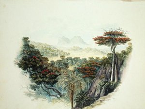 セイロンの山」（水彩・紙 作： English School