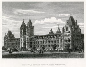 自然史博物館、1881 作： English School