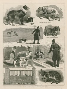 犬のための新しい警察規制 作： English School