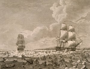 1773年に陛下の司令官によって行われた北極への航海から1773年8月10日、氷を駆け抜ける競走馬と死骸