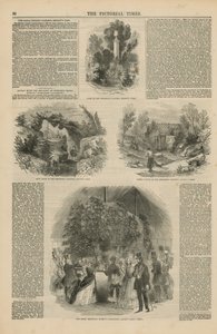 王立植物園 作： English School