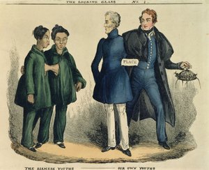 シャムの青春-私たち自身の青春、ルッキンググラスの風刺漫画、c.1829（色のエッチング） 作： English School