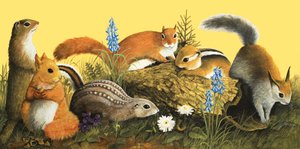 ワンス・アポン・ア・タイム』より「リス一家」のイラスト（紙にガッシュ）
