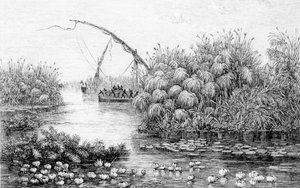 ゲオルク・アウグスト・シュヴァインフルト著「アフリカの心-1868年から1871年までの中央アフリカの秘境での3年間の旅と冒険」より「草原の中の容器 作： English School
