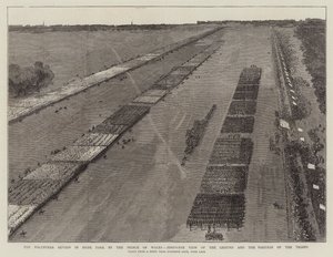 プリンス・オブ・ウェールズによるハイド・パークでの義勇兵の閲兵式、鳥瞰図によるグラウンドと部隊の位置の確認（エングレーヴィング 作： English School