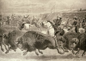 グレートアメリカンエキシビジョンでの「ワイルドウェスト」：1887年6月18日の「イラストレイテッドロンドンニュース」のバイソンとワピチの狩猟