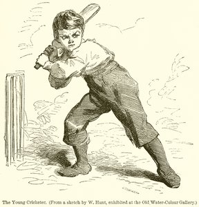 若いクリケット選手 作： English School