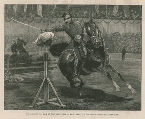農業ホールでの武器の攻撃 作： English School