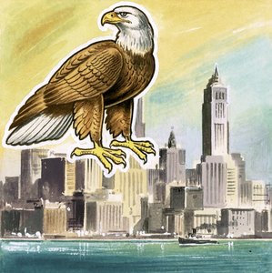 白頭ワシ、アメリカ合衆国の紋章 作： English School