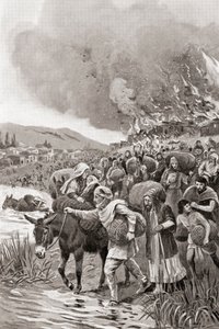 紀元前498年のイオニアの反乱の際のサルディスの焼き討ち、Hutchinson