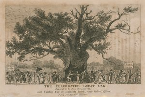 1800年を超えるとされている有名なグレートオーク 作： English School