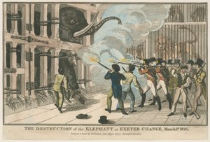 1826年3月1日、エクセターチェンジでの象の破壊 作： English School