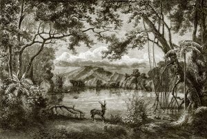 フィリピン島の魅惑の湖 作： English School