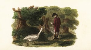 オスのガチョウJacquotと人間の友人であるフランス人ジェントルマン 作： English School