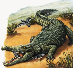 第6回見て学べる1001の質問』より「最高の友達