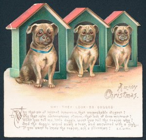 犬小屋の3匹の犬、クリスマスカード 作： English School