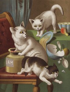 三匹の子猫泥棒 (クロモリソ) 作： English School
