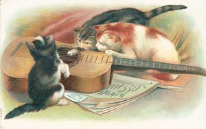アコースティックギターで遊ぶ3匹の猫 作： English School