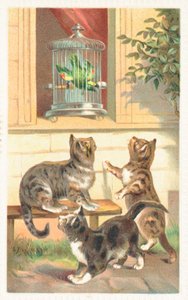 窓の下に座っている三匹の猫 作： English School