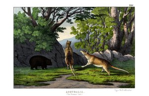 タイガー・ウルフ
