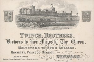 トレードカード、Twinch Brothers