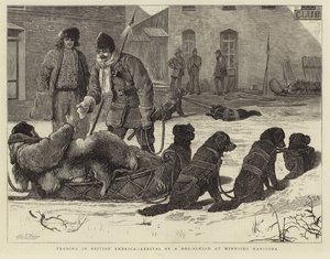イギリスアメリカでの取引-犬そりがウィニペグマニトバに到着 作： English School