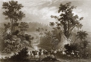 ブラジル旅行 作： English School