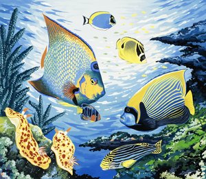 熱帯魚 作： English School