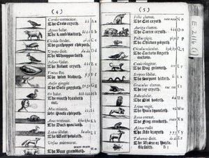 World Sensualium Pictus Comeniusの2ページ、1659 作： English School