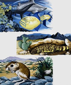 水中の生き物とマウス 作： English School