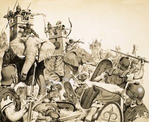 象を含む正体不明の戦い 作： English School