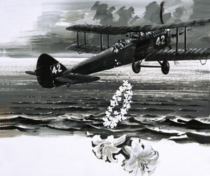正体不明の複葉機が花輪を落とす 作： English School
