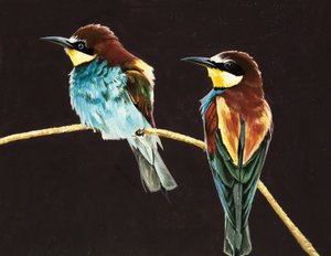 正体不明の鳥のペア 作： English School
