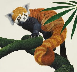 正体不明の小さな毛皮のような動物
