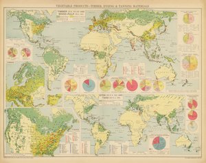 植物性製品、木材、染色・なめし材料（カラーリトグラフ） 作： English School
