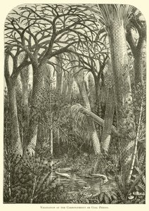石炭紀または石炭時代の植生 作： English School