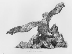 ヴィクトリア・アンド・アルバート博物館鷹、鉄、密林宗春作（彫刻作品 作： English School