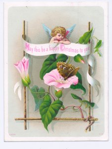 ピンクの花の上で蝶を見つめるキューピッドのヴィクトリアン・クリスマス・カード 1880年頃（カラーリトグラフ） 作： English School