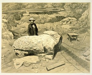 チャールズトーマスニュートン（1816-94）によるヘリカーナッサス、クニドゥス＆ブランチ科での発見の歴史から、ニュートンを後ろにして、横に巨大なライオンを見る1862年