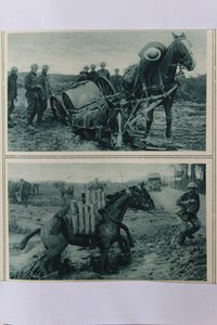 1917年8月、フランス北部の泥に沈む軍馬 作： English School