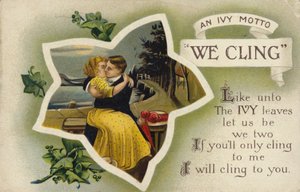 We Cling-アイビーのモットー