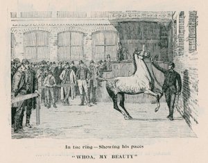 Whoa、My Beauty-彼のペースを示すリング 作： English School